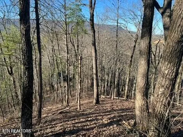 2353 Headrick Lead, Sevierville, TN 37862