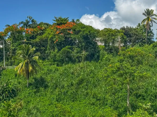 37 Calle 3, Rio Grande, PR 00745