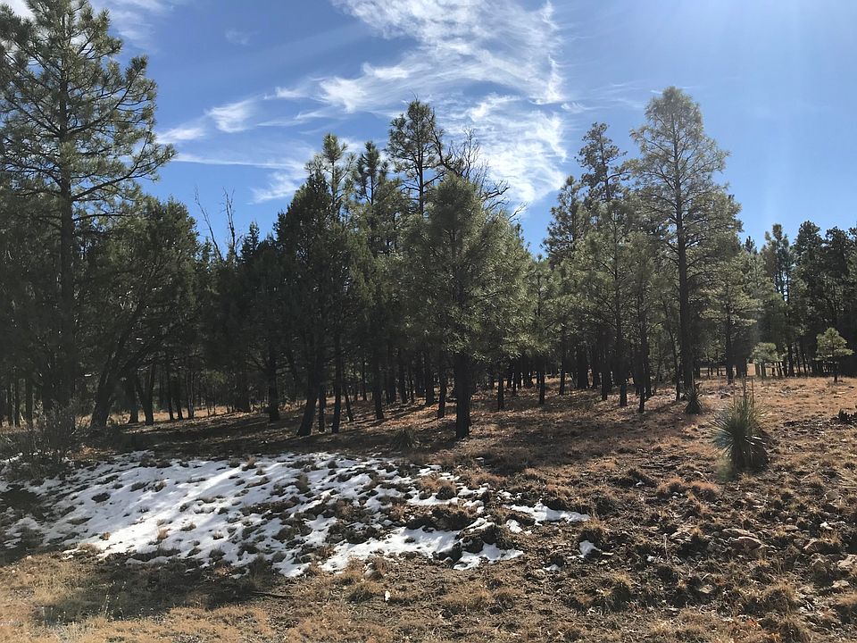 1st image of 1644 Sugar Pine Dr Lot 223