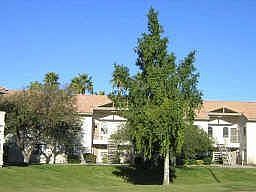 1st image of 930 N Mesa Dr Unit 1008