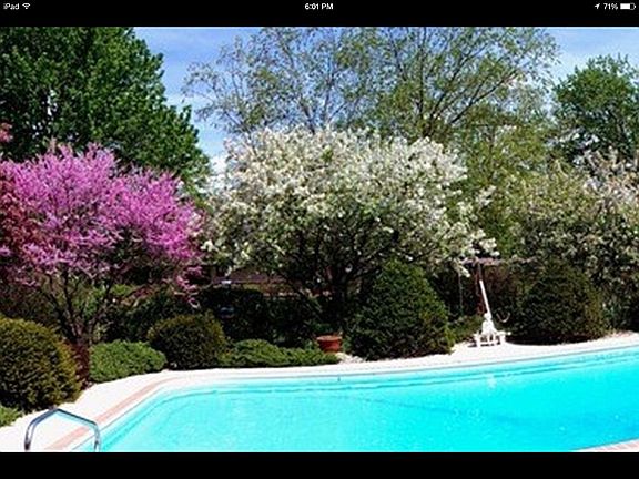 5th image of 237 Woburn Ln