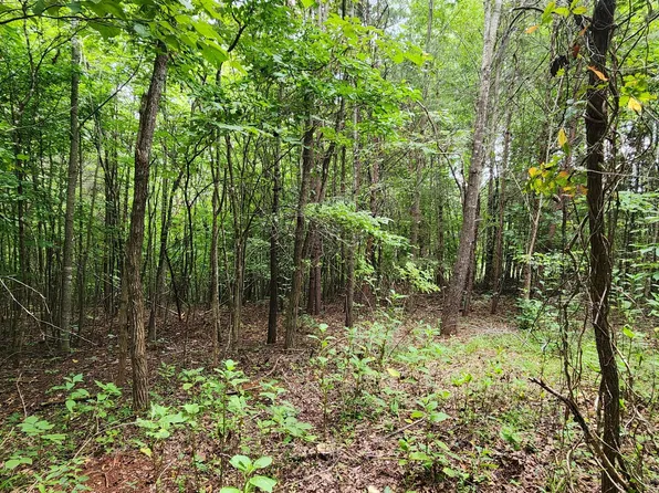 LOT 6 Brooks Mill Rd, Glade Hill, VA 24092