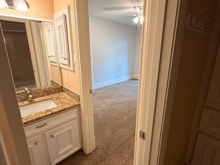 6035 Spring Creek Grove Ln — Photo 28