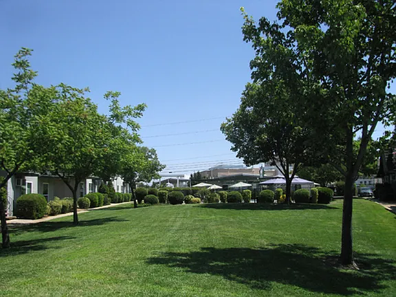 Property Grounds 2