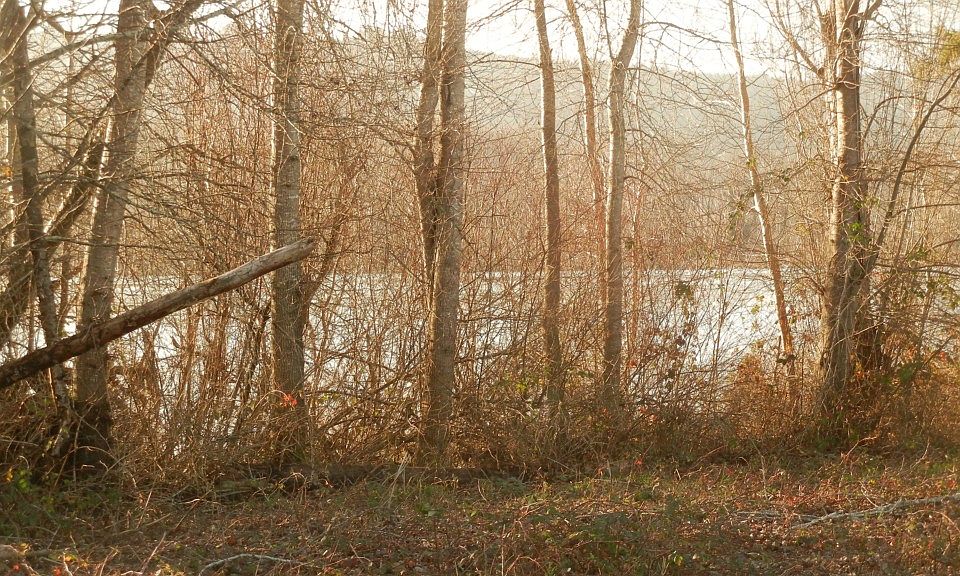 2nd image of 135 W Sunny Sands Rd Lot 3