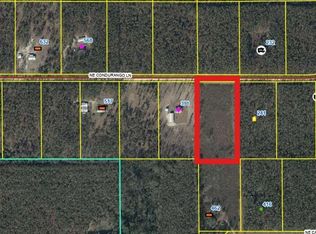 462 NE Calabazilla Trl Lot 34, Lee, FL 32059
