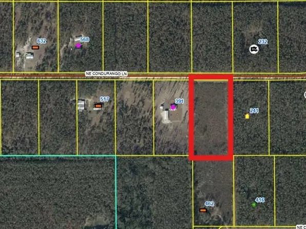 462 NE Calabazilla Trl Lot 34, Lee, FL 32059