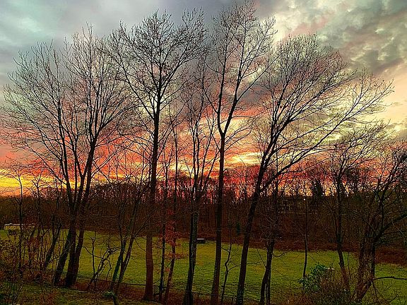 5th image of 61 Essex Ct