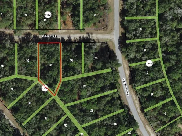 702 E Malaga Ln, Citrus Springs, FL 34434