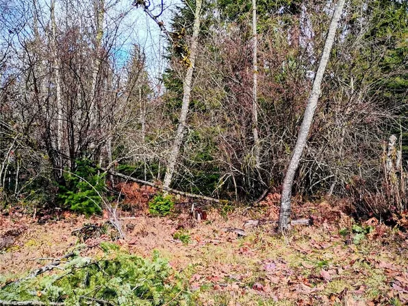0 Holiday Lane Lot 19, Packwood, WA 98361