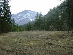 2nd image of 136 Wildfire Creek Ln