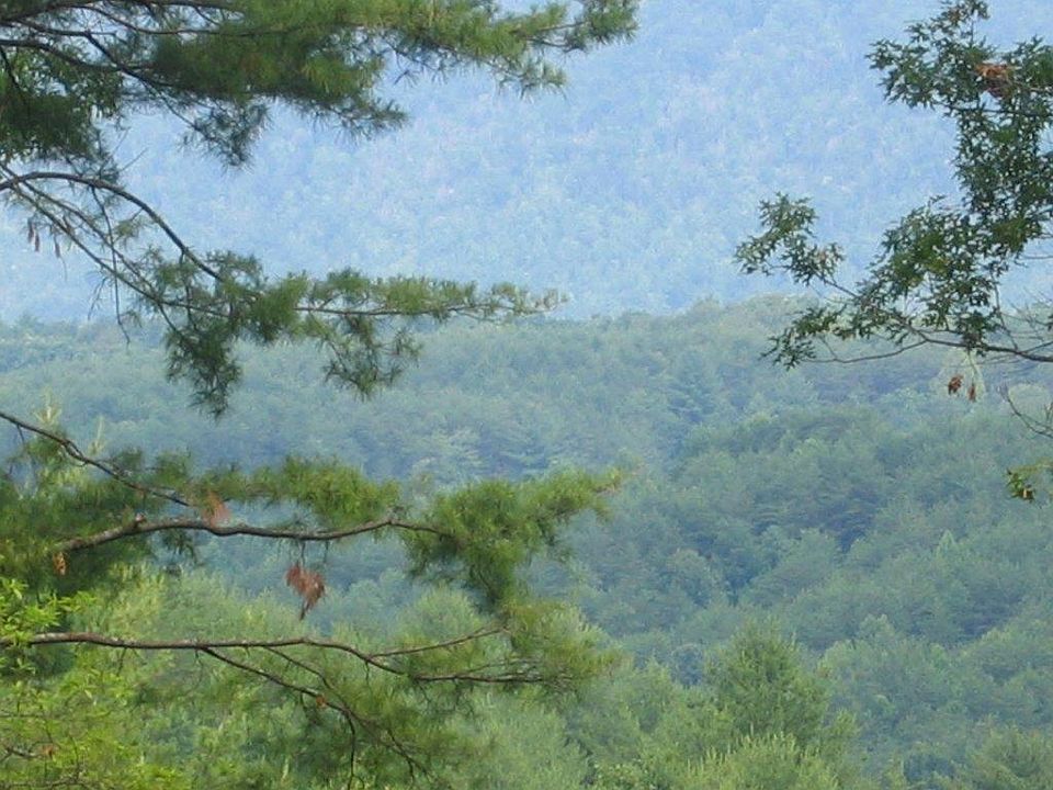 Beautiful View