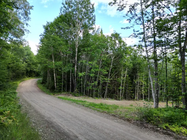 Lot 36-02 Dill Valley Road, Lakeville, ME 04487