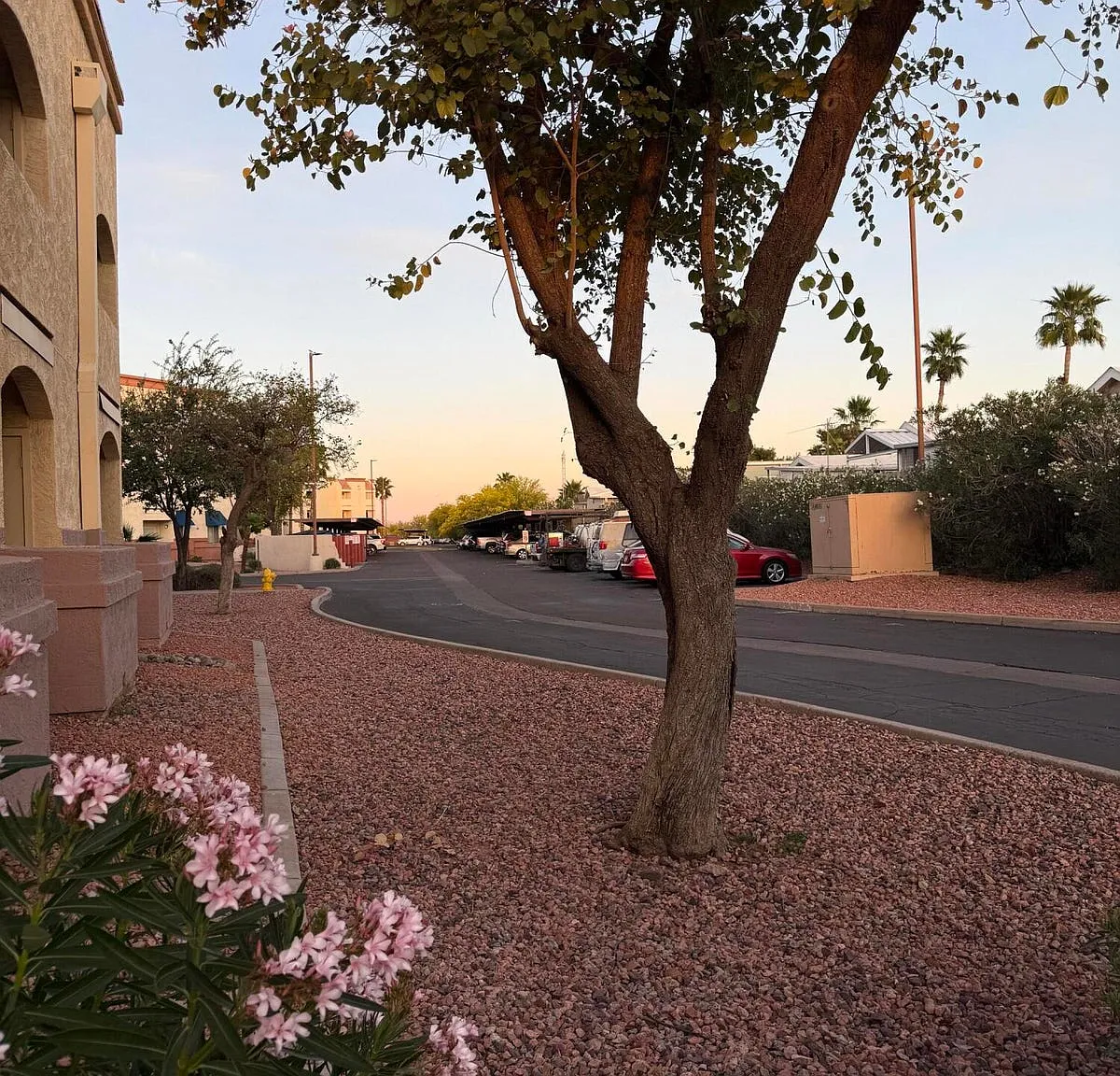 1 bed, 560 sqft, $1,000 — Photo 2