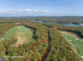 Thousand Acres Lot 11 Crows Point Rd, Swanton, MD 21561