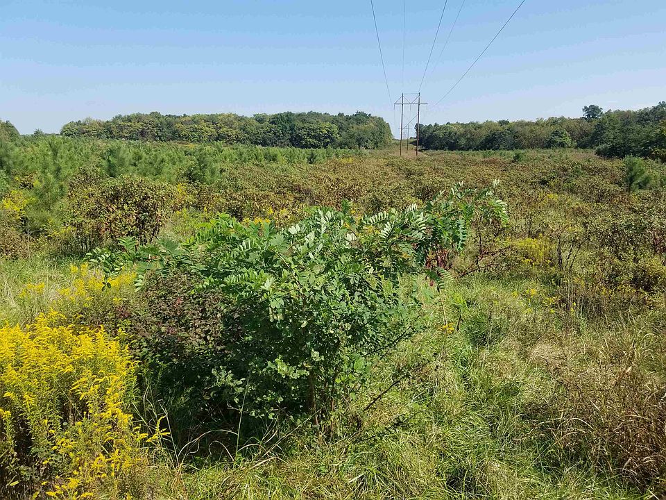 2nd image of 0 Route 611