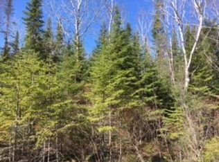 E Grand Lake Rd, Presque Isle, MI 49777