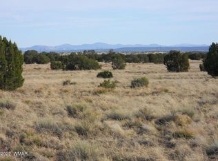 19 County Rd, Concho, AZ 85924