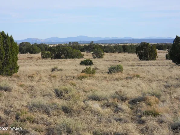 19 County Rd, Concho, AZ 85924