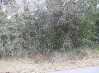 6018 Newmark St, Spring Hill, FL 34606