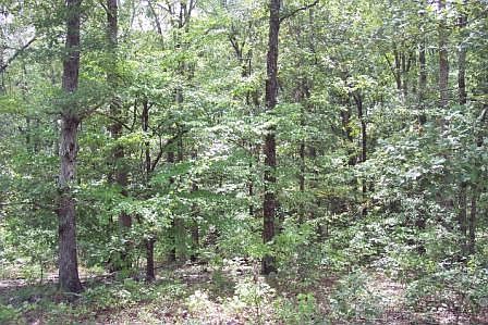 4th image of 3774 Highway 71 N