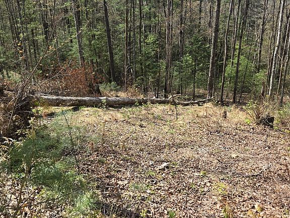 2nd image of 999 Victory Falls Rd Lot 11