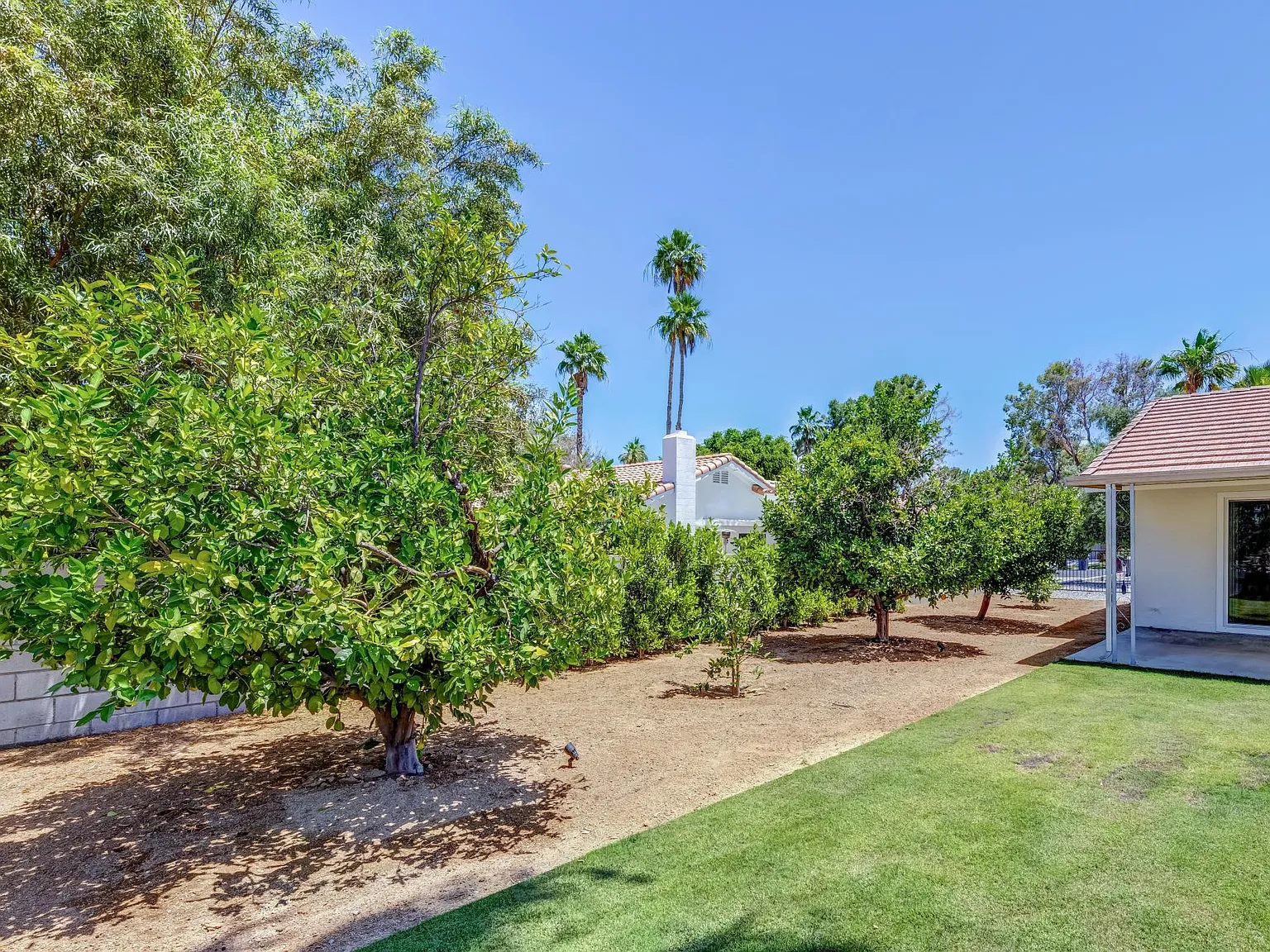 4 bed, 1740 sqft, $4,250 — Photo 3