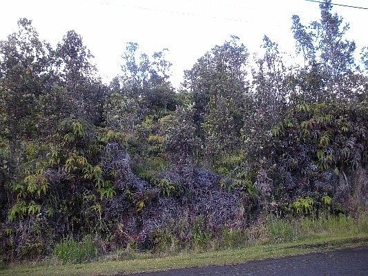 2nd image of 11-3302 Alaula St Lot 358