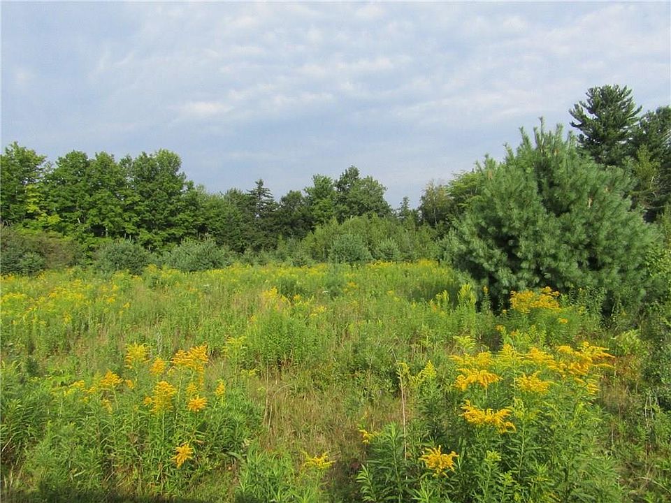 2nd image of 0 Branch Pond Road