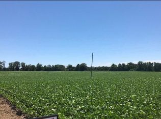 1308 Roy Woods Rd, Bells, TN 38006