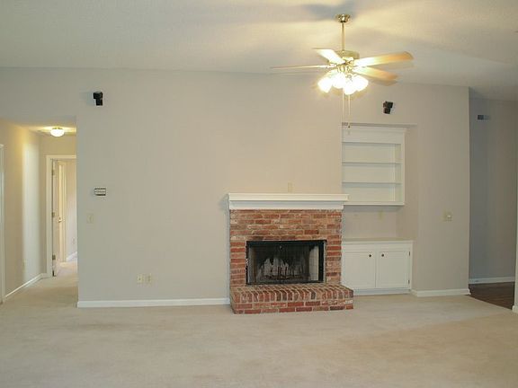 Fireplace & Bookshelves