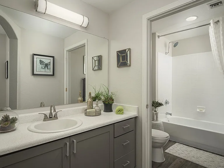Elegant and modern bathrooms at Trevi Apartment Homes