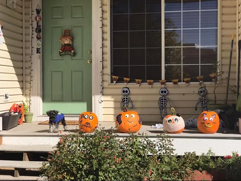 4884 Jasper Ct — Photo 2