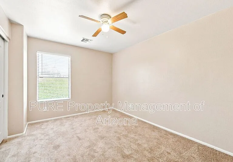 29785 N Blackfoot Daisy Dr — Photo 20