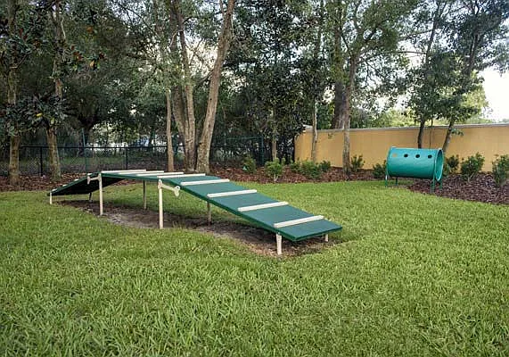 Camden Royal Palms — Photo 20
