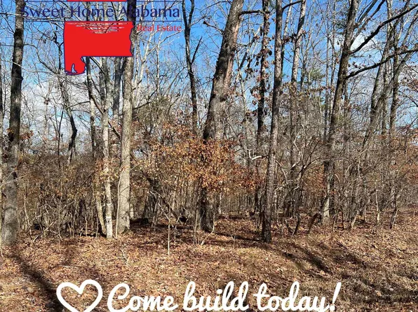 LOT 17 County Road 620, Cedar Bluff, AL 35959