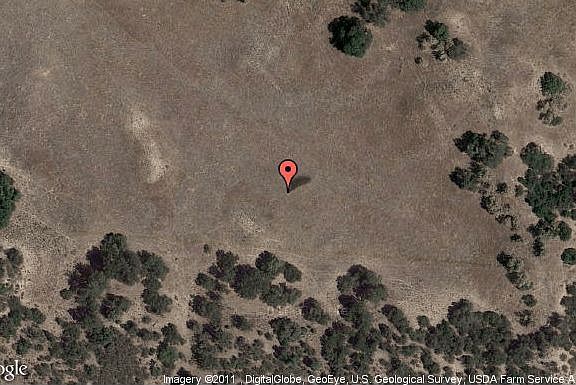 Map View