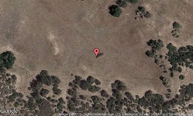 Map View