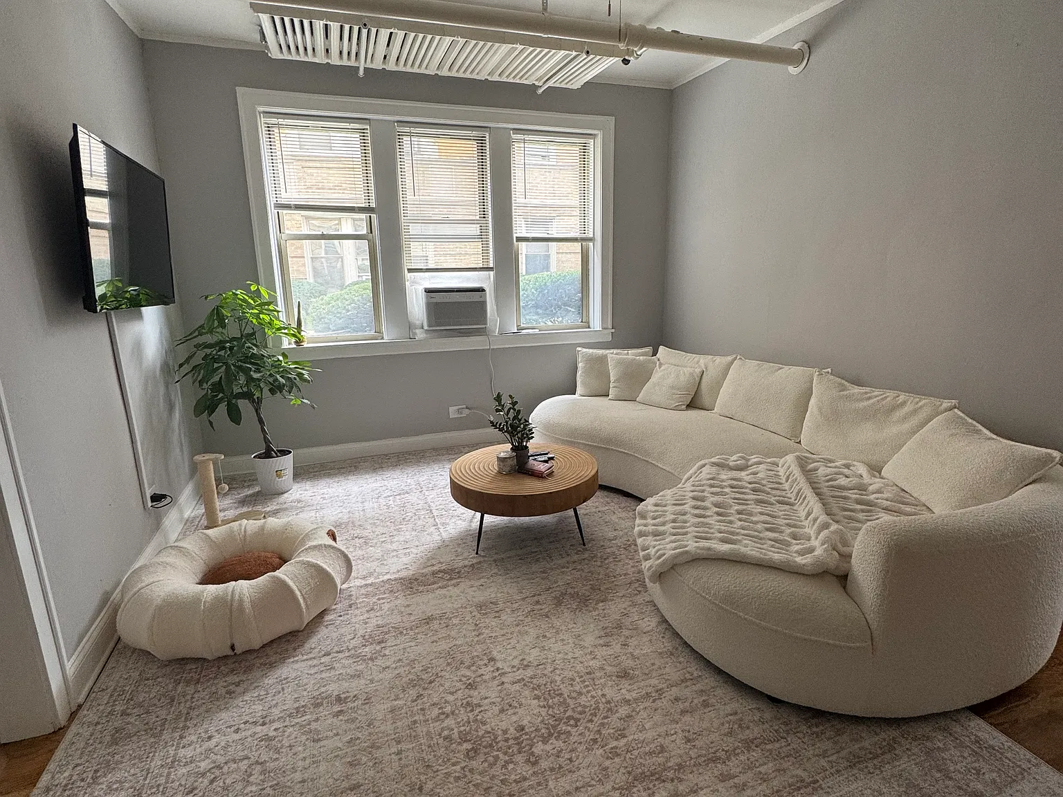 1 bed, 875 sqft, $1,200 — Photo 1