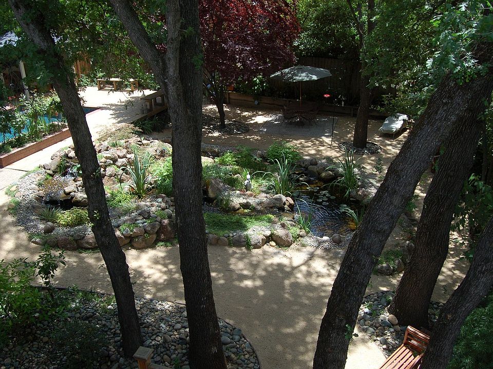 Stream and Pond