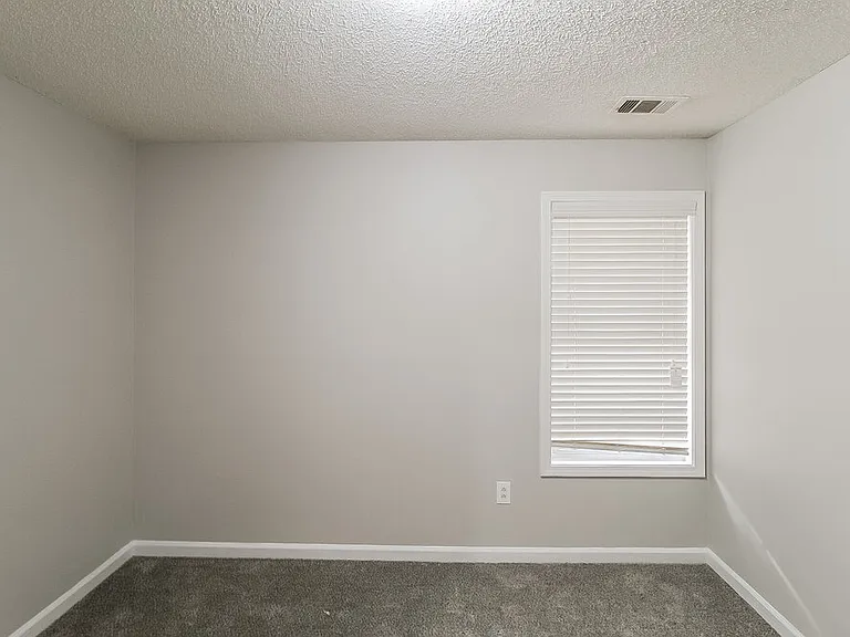 4739 Browns Mill Ferry Rd — Photo 14