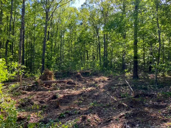 County Road 279, Moulton, AL 35650