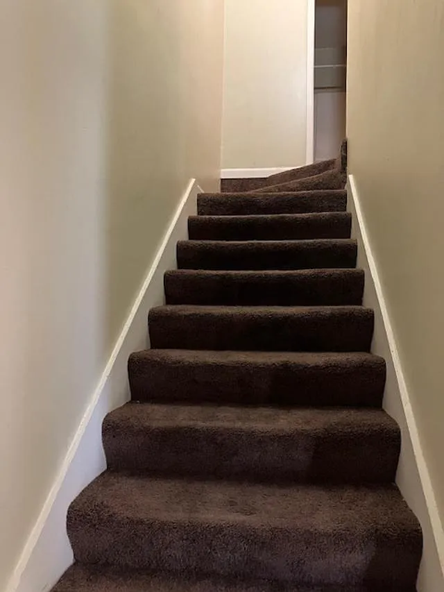 2 bed, 1.5 bath, $795 — Photo 4