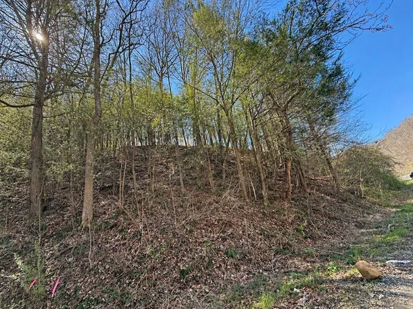 0 Lower Hewitt Rd, Julian, WV 25529