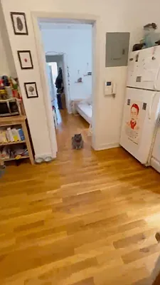 Rented by Terra Magia Inc | media 26