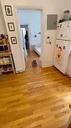 Rented by Terra Magia Inc