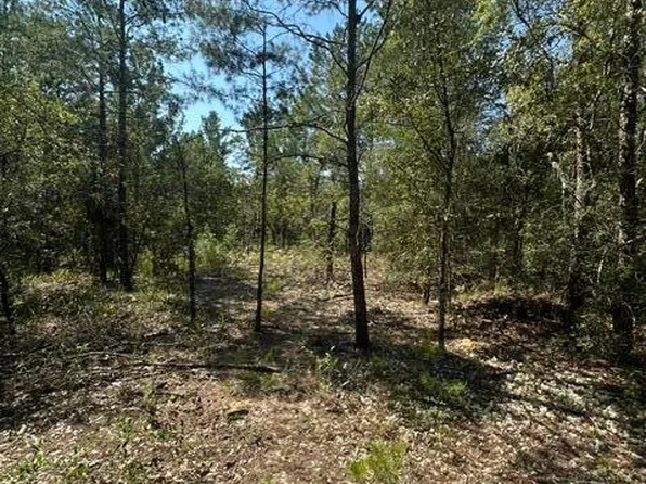 4 & 5 E Buckeye St, Defuniak Springs, FL 32433