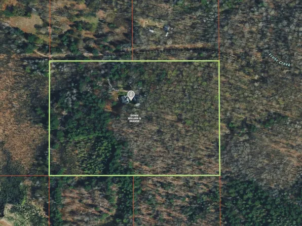 11781 Downs Dr, Leroy, MI 49655