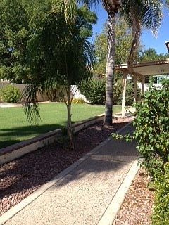 Backyard 1