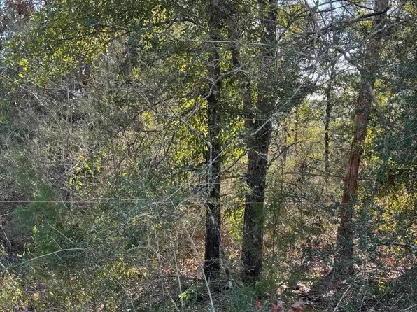 Xx Lafavre Ln, Defuniak Springs, FL 32433